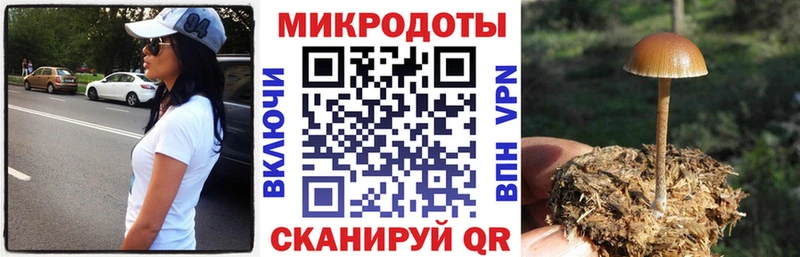 это формула  Злынка  Псилоцибиновые грибы прущие грибы  продажа наркотиков 